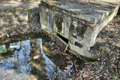 zaniedbany-park-miejski-w-Lwowku-Slaskim-03