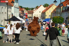 zaulek-filmowy-Lubomierz-07