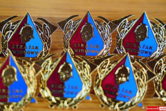 zawody-osp-Lwowek-Dworek-21