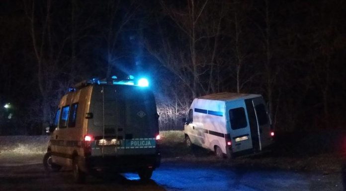 Busem ze skradzionym drewnem uciekał przed strażą leśną i policją