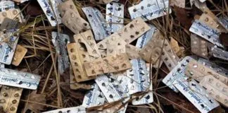 Lwówek Śląski: Opakowania po lekach rosną w lesie?