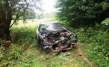 Resztki Audi straszą w lesie