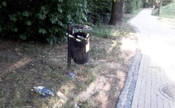 Park miejski czy klub nocny?