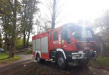 Suche drzewo stwarza zagrożenie