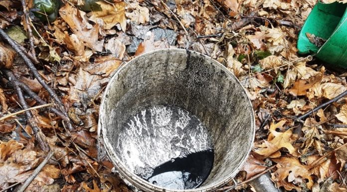 Śladami dzikich wysypisk: Skały Kawalerskie