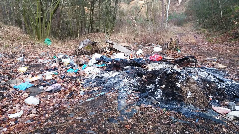 Milęcice wysypisko w lesie 2