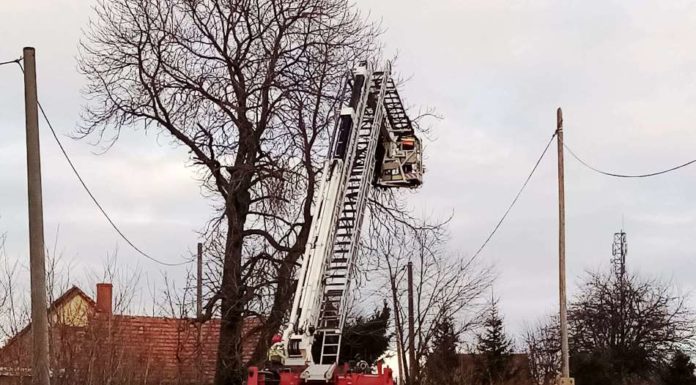 Interwencja strażaków w Rząsinach