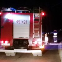 Wiatr wyrywał drzewa z korzeniami