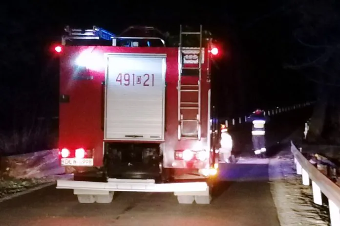 straż pożarna Lwówek Sobota drzewo