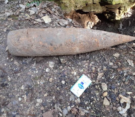 Niewybuch w lesie w Mojeszu