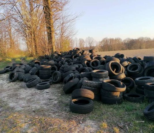 Kolejne dzikie wysypisko w gminie Lwówek Śląski