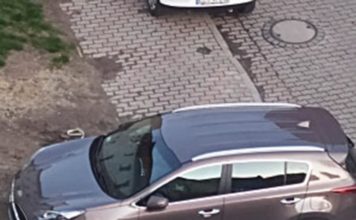 Lwówek Śląski: Przykład płynie z góry