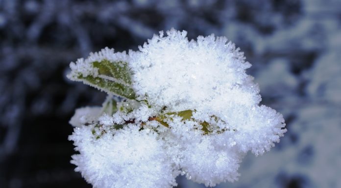 W nocy przymrozi. Na drogach może być ślisko