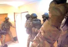Ponownie uderzyły w zorganizowaną grupę zajmującą się przerzutem cudzoziemców