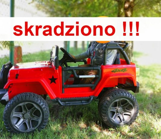 Zuchwała kradzież w Pławnej