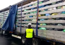 Zatrzymali nielegalny transport 18 ton odpadów