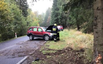Straciła panowanie nad autem i wjechała w drzewo