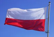 Kto wygrał wybory samorządowe w 2024 roku?