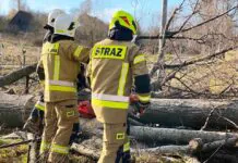 Pracowita sobota lubomierskich strażaków