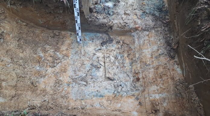 Szczątki niemieckich żołnierzy odnalezione w Gryfowie Śląskim