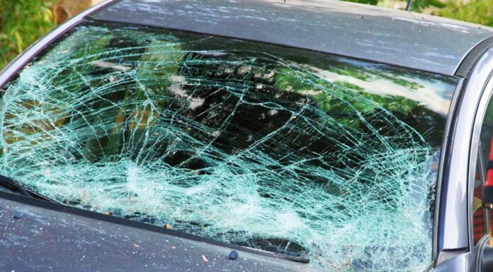 Gałąź spadła na samochód