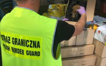 Rozbili mafię tytoniową