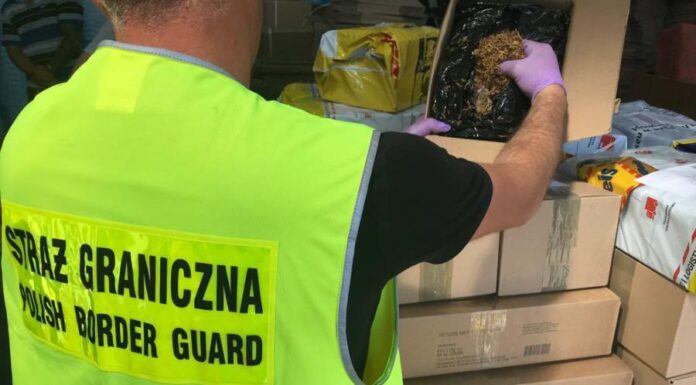 Rozbili mafię tytoniową