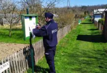 policja działki Lwówek