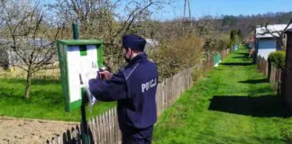 policja działki Lwówek