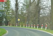 Kiedy mieli wyciąć te drzewa? I kiedy będzie bezpieczniej?