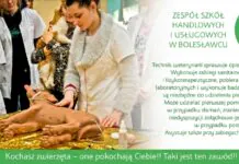 Zespół Szkół Handlowych i Usługowych w Bolesławcu zaprasza