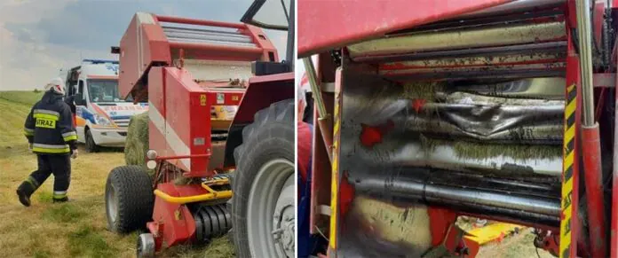 prasawciągnęła rolnikowi rękę