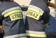 Nie zostawiaj dzieci i zwierząt w nagrzanym samochodzie!
