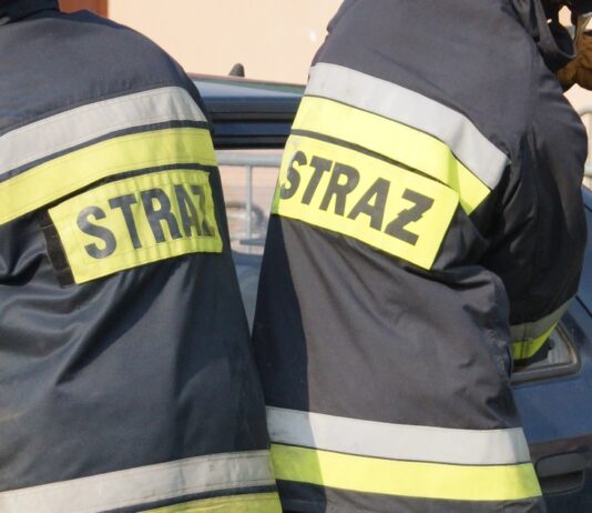 Nie zostawiaj dzieci i zwierząt w nagrzanym samochodzie!