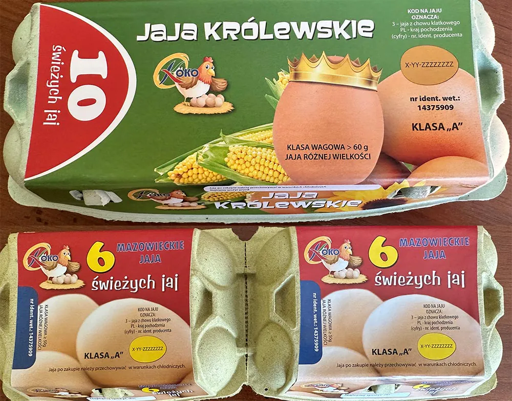 Jaja z Salmonellą 1 jaja salmonella