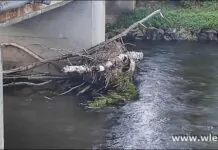 Czy ktoś usunie zator?