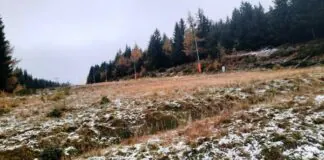 W Karkonoszach pada śnieg