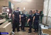 Rozbita międzynarodowa grupa przestępcza produkująca papierosy