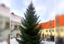 Na lubomierskim rynku stanęła choinka