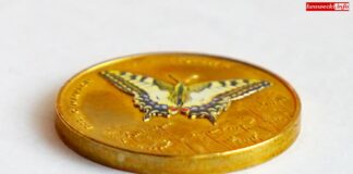 Ile pieniędzy mają otrzymać nasze gminy?