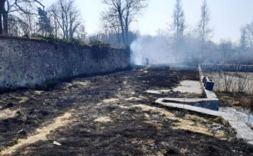 Plaga podpaleń w powiecie lwóweckim