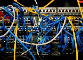 Sprawdziliśmy, jak wygląda cyfrowa mapa powiatu lwóweckiego internet kable serwer
