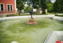 fontanna z czaplą w lwówku Śląskim