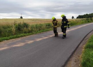 Plama oleju na drodze Lubomierz - Popielówek 2
