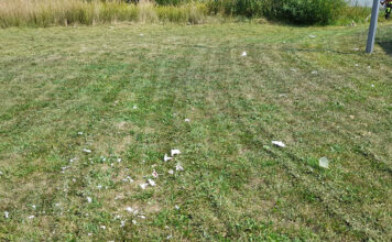 Skosili trawę razem ze śmieciami
