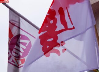 ZNP Solidarność strajk protest