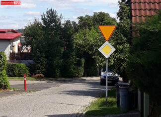 absurd drogowy w Lwówku Śląskim