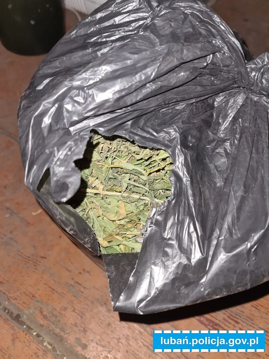 marihuana 3