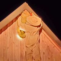 Usunęli gniazdo szerszeni OSP Niwnice