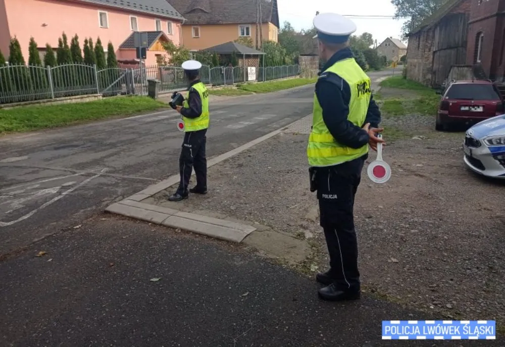 policja kontrola drogowa 1